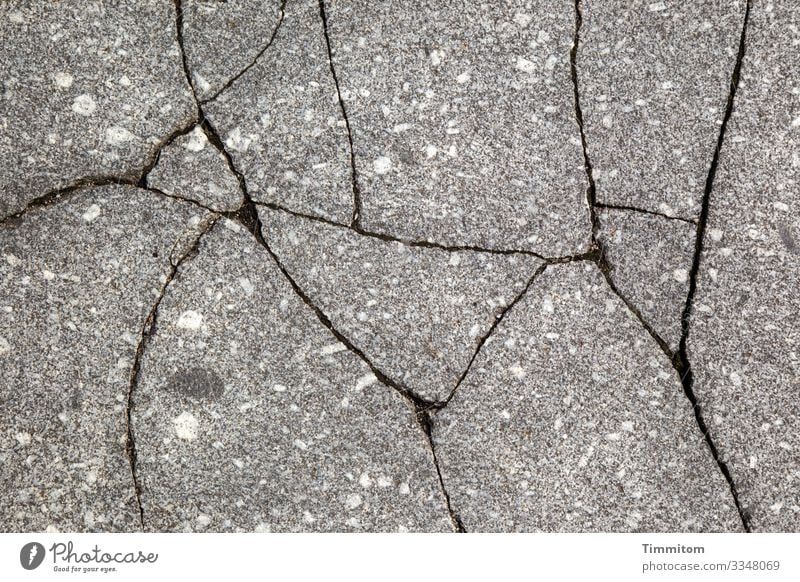 Wysiwyg Platz Straße Stein Beton Linie ästhetisch einfach grau weiß Riss Strukturen & Formen Punkt Farbfoto Außenaufnahme Menschenleer Tag