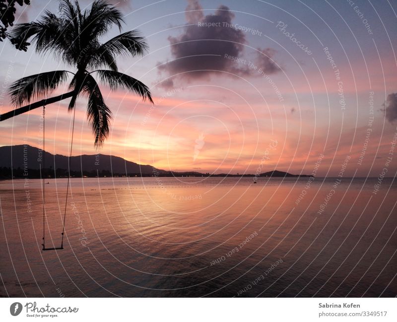 Sunset auf Koh Samui Natur Landschaft Sand Luft Wasser Himmel Wolken Sonnenaufgang Sonnenuntergang Sonnenlicht Schönes Wetter Baum Wellen Strand Meer