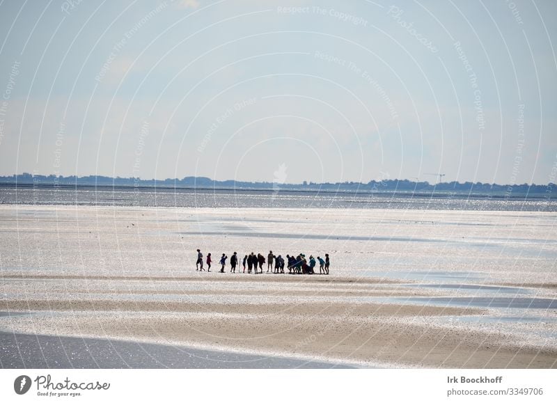 Gruppe Schulkinder mitten im Wattenmeer an der Nordsee Ferien & Urlaub & Reisen Tourismus Ausflug Meer Mensch Jugendliche Kindergruppe 8-13 Jahre Kindheit Natur