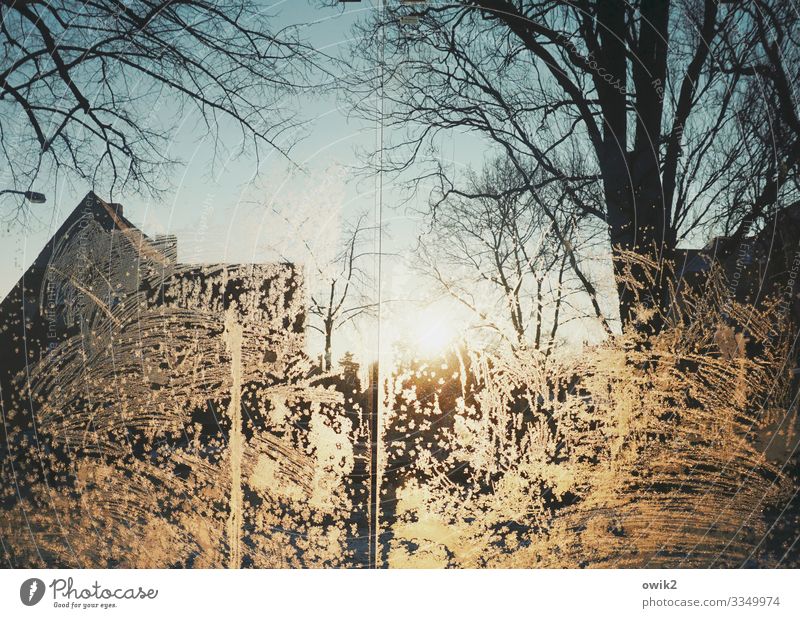 Kühlhaus Umwelt Wolkenloser Himmel Sonne Winter Schönes Wetter Eis Frost Baum Zweige u. Äste Bautzen Haus Dach Glasscheibe leuchten kalt gefroren Eisblumen