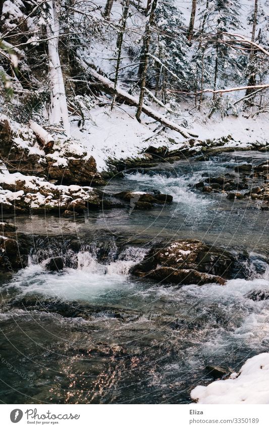 Eiszeit Landschaft Winter Frost Schnee Bach Fluss Natur Wald Gischt kalt Wasser fließen Farbfoto Außenaufnahme Menschenleer Textfreiraum unten Sonnenlicht