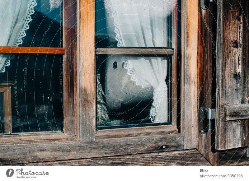 Hüttenzauber Einfamilienhaus Fenster urig Stimmung Winterurlaub Holz Gardine altmodisch gemütlich beschlagen Aussicht Häusliches Leben Stalking ländlich