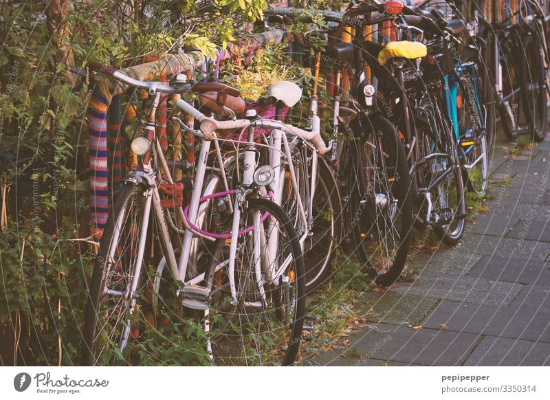 bicycles Freizeit & Hobby Ausflug Häusliches Leben Fahrradfahren Pflanze Sträucher Hamburg Hafenstadt Stadtzentrum Altstadt Verkehrsmittel Straße Stahl Zeichen