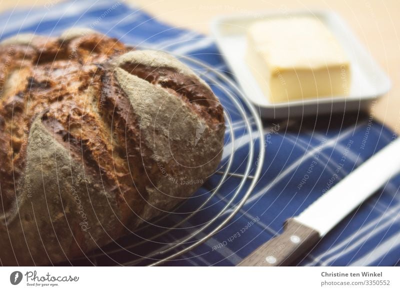 Frisches selbstgebackenes Brot, Butter und Brotmesser auf einem blau-weiß karierten Tuch Weizen Roggen Dinkel Mehl Weizenmehl Lebensmittel Ernährung Hunger