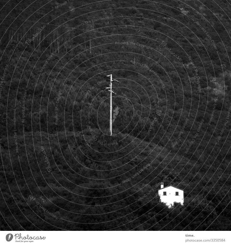 Seilschaften #30 Häusliches Leben Wohnung Energiewirtschaft Strommast Hochspannungsleitung Wald Berge u. Gebirge Haus Willensstärke Mut Ausdauer Einsamkeit