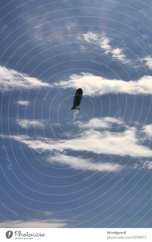 LED the ZEPPELIN fly Ferien & Urlaub & Reisen Ausflug Abenteuer Sommer Luftverkehr Umwelt Himmel Wolken Klima Wetter Schönes Wetter Fluggerät Zeppelin fliegen