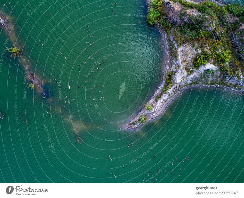 Tagebauinsel 2 Insel Luftbild Drohne See Drohnenbild Wasser einsam einsame Insel Sandgrube Baggersee Natur Vögel Landzunge