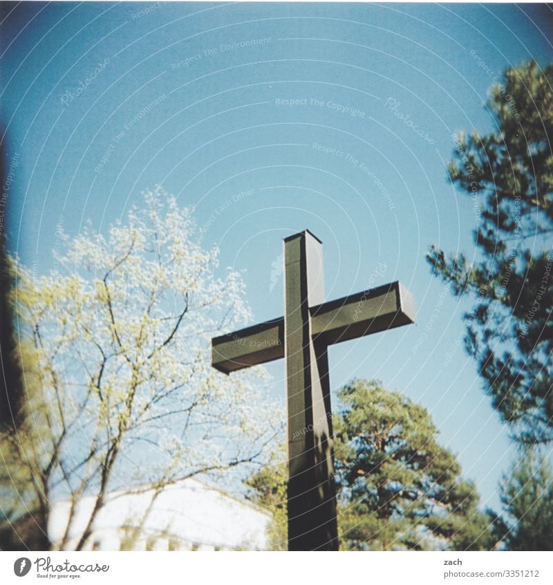 Abschied Himmel Schönes Wetter Pflanze Baum Dorf Haus Friedhof Zeichen Kreuz blau Glaube Traurigkeit Trauer Ende Religion & Glaube Tod Vergänglichkeit verlieren