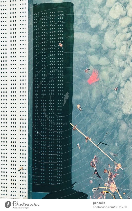 rothändle Natur Wasser Winter Pflanze Seeufer Handschuhe außergewöhnlich Kran Hochhaus Schatten Täuschung Bilderrätsel lustig Kriminalroman Hafen Farbfoto