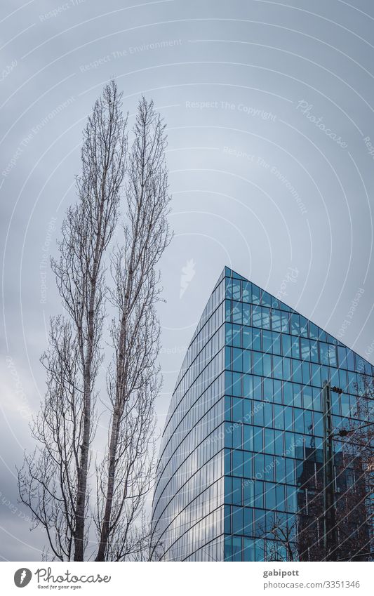 EZB Frankfurt Haus Gebäude Hochhaus Architektur Fenster Fassade Himmel Außenaufnahme Stadt hoch blau Tag Menschenleer Farbfoto Stadtzentrum Froschperspektive