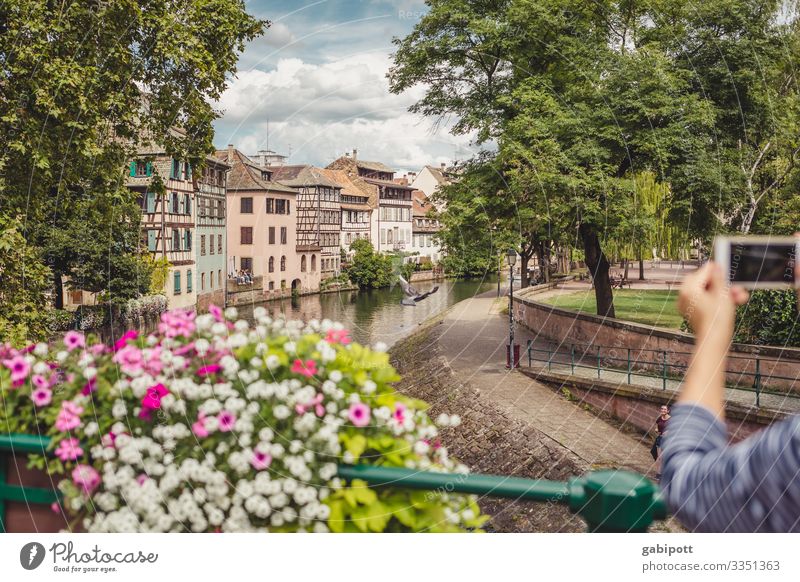 Städtetrip Strasbourg 3/5 Natur Himmel Sommer Wetter Schönes Wetter Blume Park Straßburg Frankreich Europa Stadt Stadtzentrum Altstadt Haus Brücke Gebäude