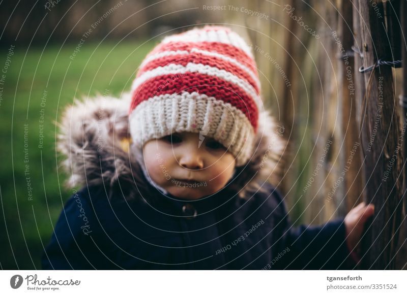 Kleinkind im Herbst Mensch maskulin Kind Junge Kindheit 1 1-3 Jahre beobachten lernen träumen authentisch Freundlichkeit Fröhlichkeit Gesundheit Glück gut schön