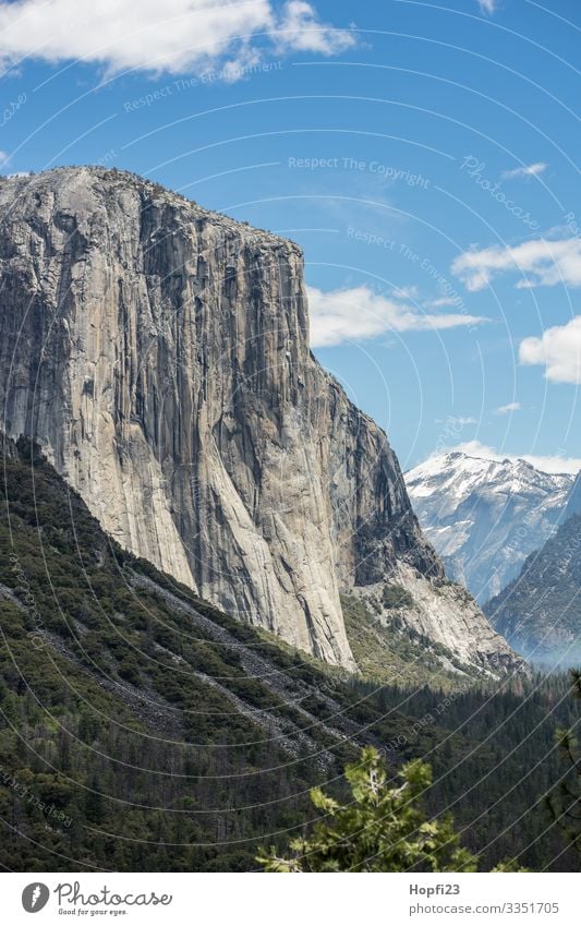 El Capitan im Yosemite Nationalpark Yosemite NP Yosemite National Park Yosemite Park Wasserfall Granit stein fels Baum Bäume hoch steil riesig Fluss natur