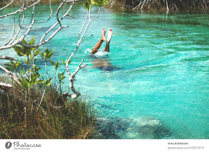 Diving into turquoise in Bacalar, Mexico Erholung Ferien & Urlaub & Reisen Tourismus Abenteuer Ferne Sommer Strand Sport Schwimmen & Baden Natur Sonne Sträucher