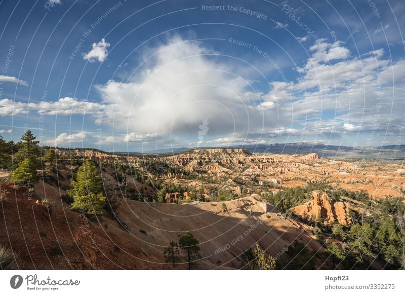 Bryce Canyon Umwelt Natur Landschaft Pflanze Tier Urelemente Himmel Wolken Sonne Frühling Sommer Schönes Wetter Baum Felsen Berge u. Gebirge Gipfel beobachten