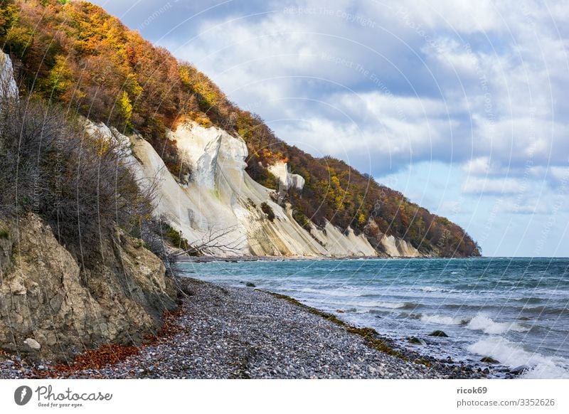 Ostseeküste auf der Insel Moen in Dänemark Erholung Ferien & Urlaub & Reisen Tourismus Strand Meer Wellen Natur Landschaft Wasser Wolken Herbst Baum Wald Felsen