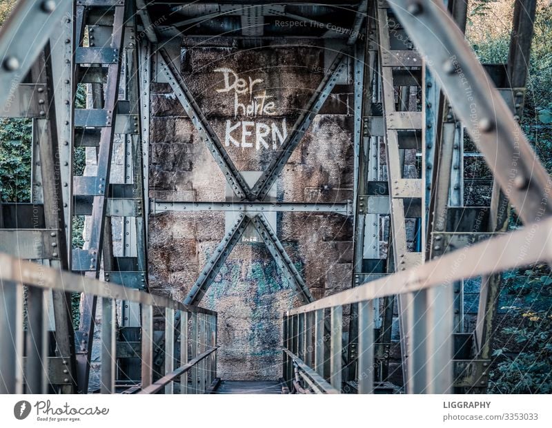 Unter einer Eisenbahnbrücke. Industrie Menschenleer Brücke Bauwerk Schienenverkehr Arbeit & Erwerbstätigkeit Kraft Abenteuer Stahlbrücke stahlblau Geländer