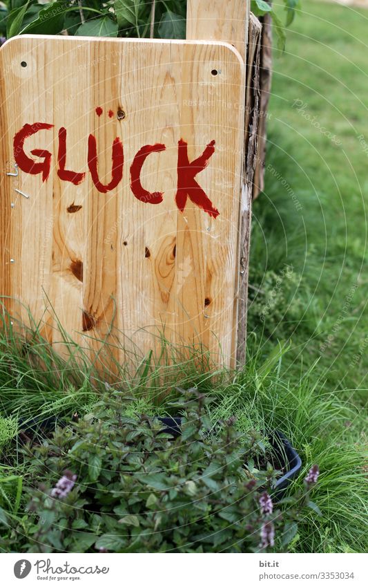 Gesundheit I Glück Garten Holz Schrift geschrieben Buchstaben Wort Schriftzeichen Text Typographie Zeichen Symbole & Metaphern Vorfreude Zufriedenheit