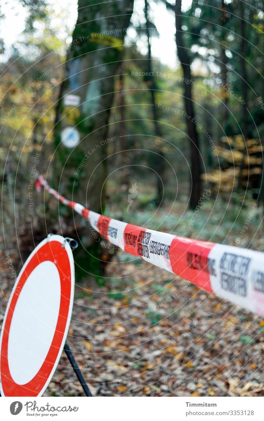 Wald nicht betreten! Umwelt Natur Pflanze Zeichen Hinweisschild Warnschild Verkehrszeichen braun grün rot weiß Gefühle bedrohlich Verbote Lebensgefahr