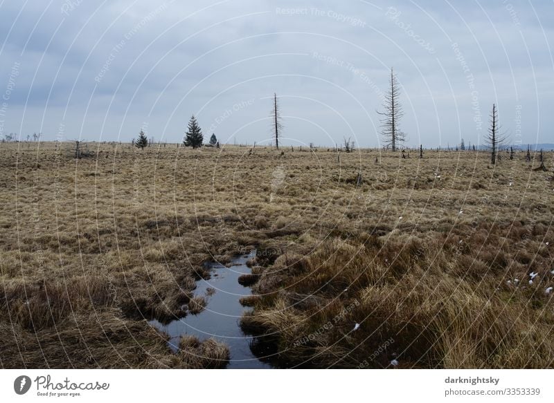 Wandern in der winterlichen Landschaft des Hohen Venn, Nationalpark Hohes Venn - Eifel in Belgien und Deutschland. Fitness Ferien & Urlaub & Reisen Tourismus