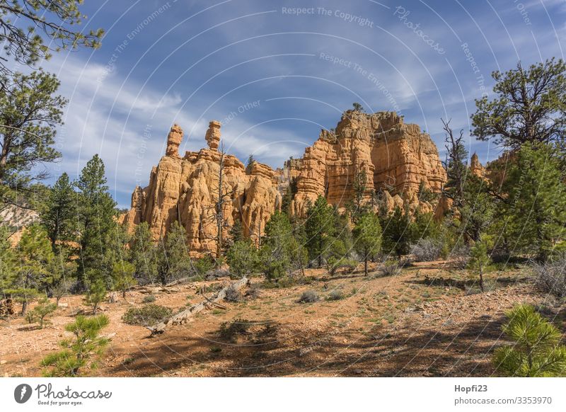 Salz und Pfefferstreuer Bryce Canyon Umwelt Natur Landschaft Pflanze Tier Himmel Wolken Sonne Frühling Schönes Wetter Baum Felsen Berge u. Gebirge Gipfel