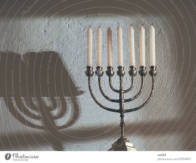 Kandelaber Souvenir Sammlerstück Menorah Kerze Kerzenständer Metall glänzend Religion & Glaube Symbole & Metaphern Judentum 7 Wand Schatten Neigung geschwungen