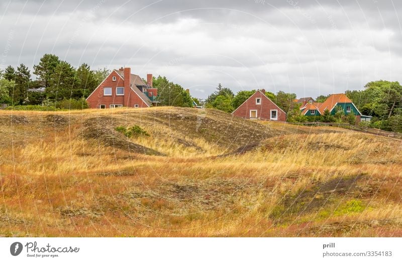 Spiekeroog in East Frisia Sommer Insel Landschaft Pflanze Sträucher Küste Dorf authentisch Ostfriesland Landkreis Friesland deutschland norddeutschland