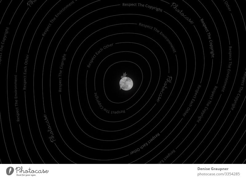 Full moon in the sky of Germany Ferien & Urlaub & Reisen Umwelt Natur Himmel Mond Vollmond Klima Park Skyline Tower (Luftfahrt) dunkel full Deutschland blue