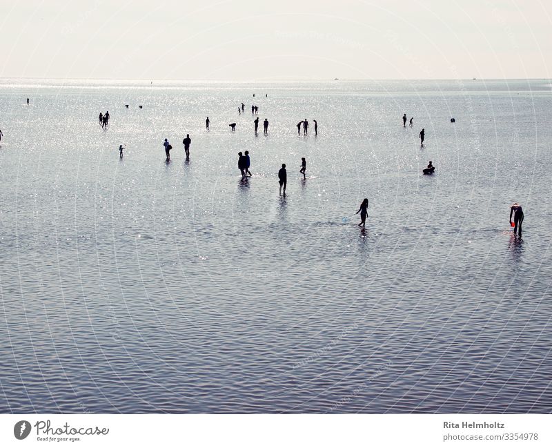 Wasservergnügen Schwimmen & Baden Ferien & Urlaub & Reisen Tourismus Sommerurlaub Strand Meer Wellen Mensch Leben Menschenmenge Küste Nordsee Erholung Spielen