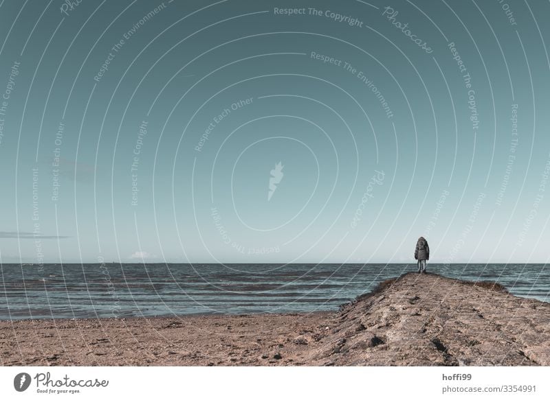 warten auf ... Sonne Winter Mensch 1 30-45 Jahre Erwachsene Natur Wolkenloser Himmel Schönes Wetter Wellen Küste Nordsee Insel ästhetisch frei Unendlichkeit