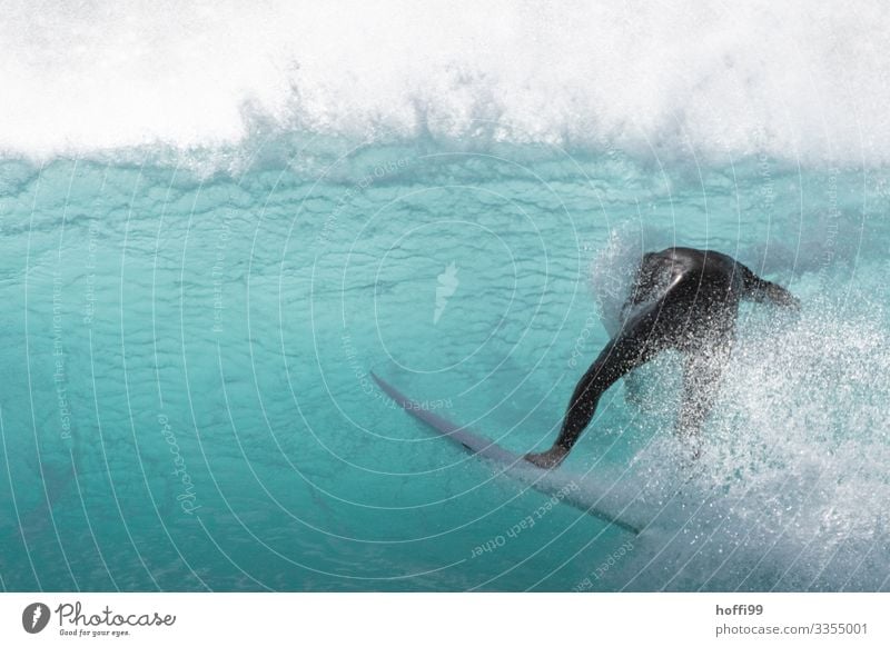 Unverhoffte Wendung Surfen Surfer Surfbrett Mensch 1 18-30 Jahre Jugendliche Erwachsene Wasser Schönes Wetter Wellen Meer Schwimmen & Baden tauchen bedrohlich