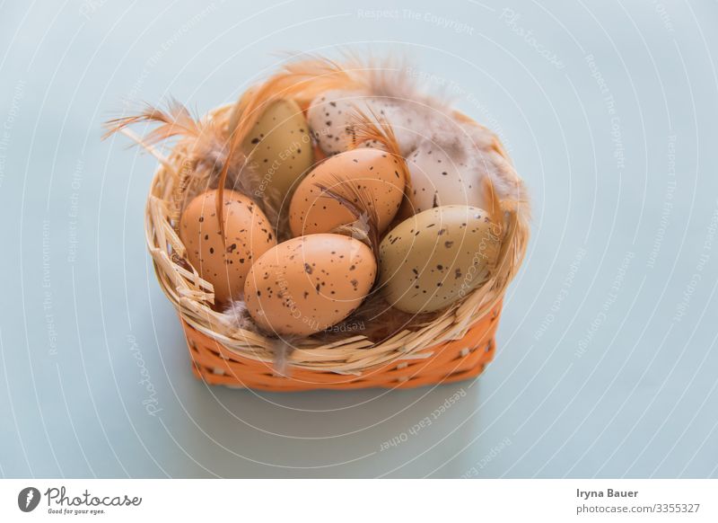 Easter backgruond with eggs and feathers in basket. Lifestyle harmonisch Freizeit & Hobby Spielen Kinderspiel Garten Essen Ostern Natur Tier Dose Gartenzwerge