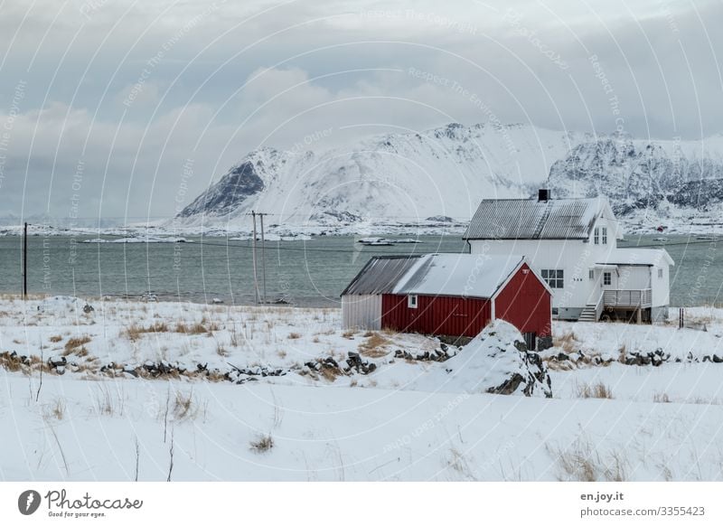 Schöner wohnen | Eiszeit Ferien & Urlaub & Reisen Winter Schnee Häusliches Leben Natur Landschaft Frost Berge u. Gebirge Fjord Lofoten Norwegen Skandinavien