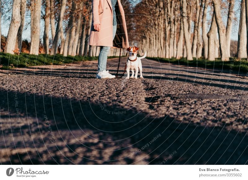 Unkenntliche junge Besitzerin und ihr süßer Jack-Russell-Hund sitzen bei Sonnenuntergang im Freien Frau Straße Jack-Russell-Terrier Haustier Jugendliche