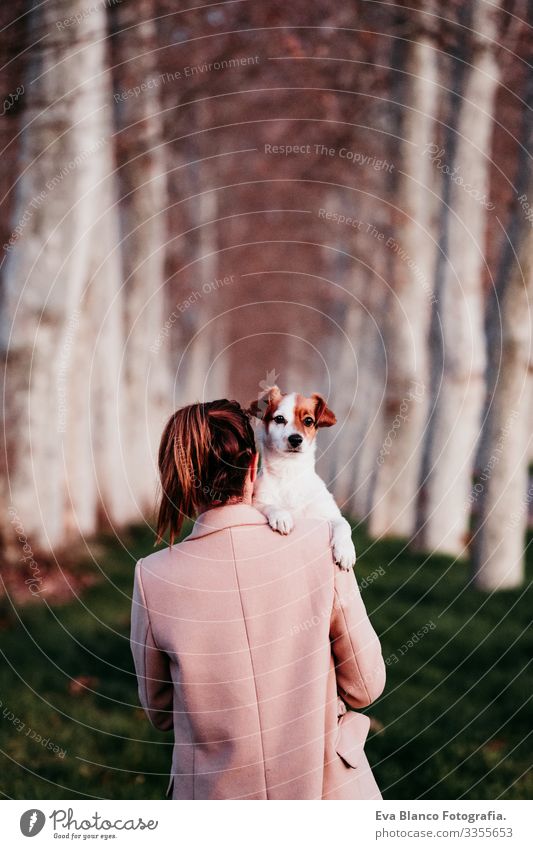 Schöner schwarzer Labrador, der bei Sonnenuntergang auf einer Straße sitzt Stoppen Sie das Konzept Jack-Russell-Terrier Schulter Halt Frau Hund sitzen Haustier