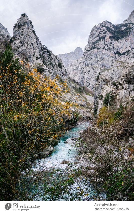 Wasserstrom, der bei hellem Tag zwischen felsigen Gipfeln fließt strömen fließend Berge u. Gebirge Fluss Natur malerisch Landschaft Wildnis Abenteuer Hügel