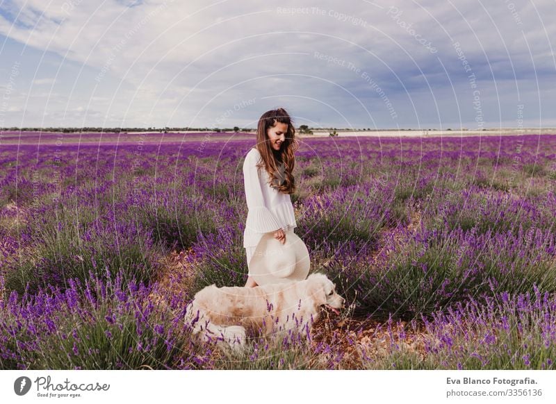 schöne Frau mit ihrem Golden Retriever-Hund in Lavendelfeldern bei Sonnenuntergang. Haustiere im Freien und Lebensweise. Wiese Beautyfotografie Freizeit & Hobby