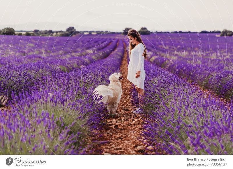 schöne Frau mit ihrem Golden Retriever-Hund in Lavendelfeldern bei Sonnenuntergang. Haustiere im Freien und Lebensweise. Wiese Beautyfotografie Freizeit & Hobby