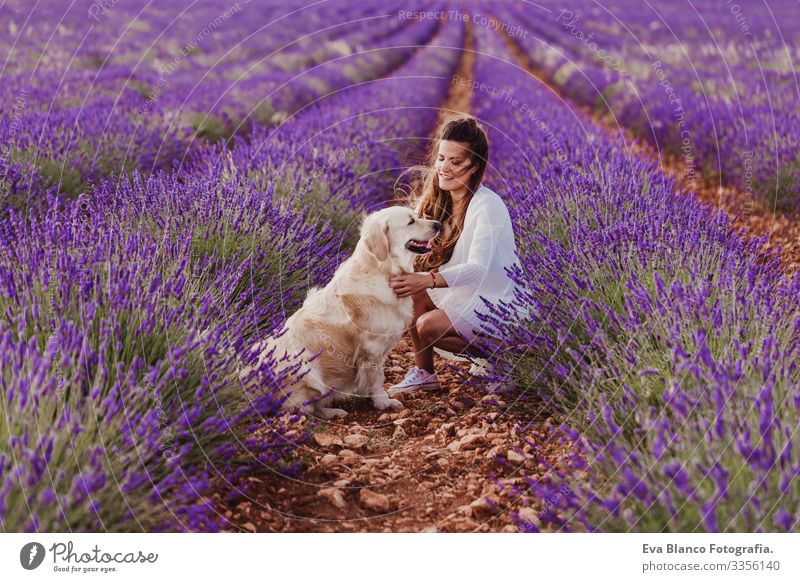 schöne Frau mit ihrem Golden Retriever-Hund in Lavendelfeldern bei Sonnenuntergang. Haustiere im Freien und Lebensweise. Wiese Beautyfotografie Freizeit & Hobby