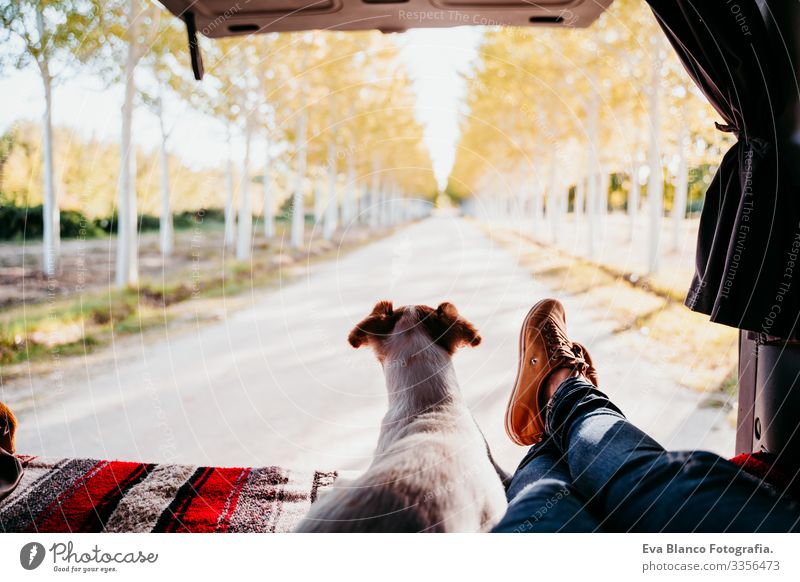 süßer jack russell hunde- und frauenbeine entspannen sich in einem van. reisekonzept Jack-Russell-Terrier Hund Frau Kleintransporter Ferien & Urlaub & Reisen