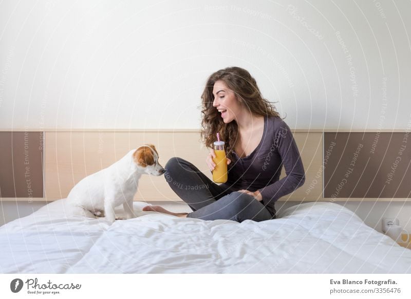 eine schöne junge Frau, die mit ihrem süßen kleinen Hund auf dem Bett liegt. Haus, Wohnung und Lebensstil. Sie trinkt Orangensaft. gemütlich Stimmung kuscheln