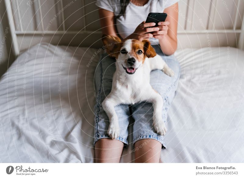 junge kaukasische Frau im Bett, die mit dem Handy telefoniert. Süßer kleiner Hund liegt daneben. Liebe zu Tieren und Technologiekonzept. Lebensstil im Haus