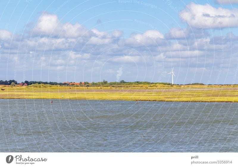 Spiekeroog in East Frisia Sommer Meer Insel Landschaft Wasser Küste Nordsee Dorf authentisch Ostfriesland Landkreis Friesland deutschland norddeutschland