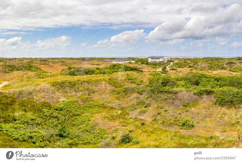 Spiekeroog in East Frisia Sommer Insel Haus Natur Landschaft Pflanze Küste authentisch Ostfriesland Landkreis Friesland bewachsen deutschland norddeutschland