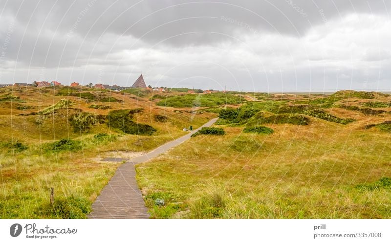 Spiekeroog in East Frisia Sommer Insel Landschaft Pflanze Sträucher Küste Dorf Wege & Pfade authentisch Ostfriesland Landkreis Friesland deutschland