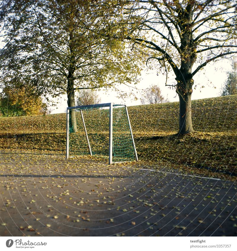 handballtor Sport Fitness Sport-Training Ballsport Sportstätten Umwelt Natur Schönes Wetter Pflanze Baum Gras Garten Park Tor Herbst Blatt Sportplatz Farbfoto