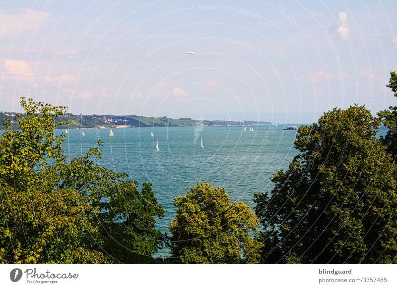 Bodensee Bäume Binnensee See urlaub reise ausflug segeln mainau wohlfühlen sommer tag sonnenschein schönes wetter zeppelin segelboot wasser wellen freizeit