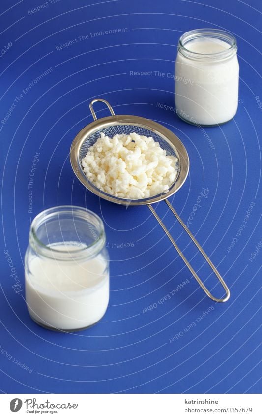 Vergorener Getränkekefir in kleinen Flaschen und Kefirkörner Frühstück Sieb frisch blau weiß Tradition Fermentation fermentiert Glas klassisches Blau Kephir