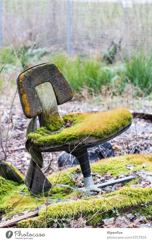 Setzen !! bäh! Wald Moos Außenaufnahme Natur Pflanze Menschenleer Pilz Farbfoto grün Waldboden natürlich Landschaft Stuhl Bürostuhl Schreibtischstuhl Umwelt