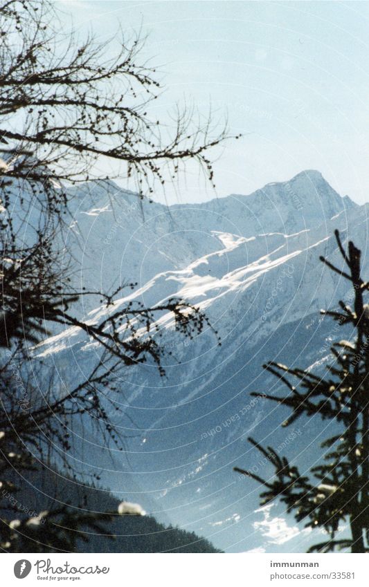 stubaier winter Winter Baum Fichte Gletscher Berge u. Gebirge stubaital Schnee Himmel Tal